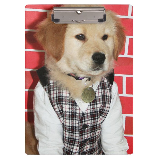 Porte-bloc Le golden retriever a habillé le chiot (Devant)