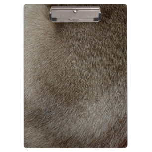 Porte-bloc Le regard de la fourrure luxueuse de chat siamois