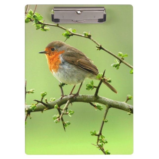 Porte-bloc Le Robin (Devant)