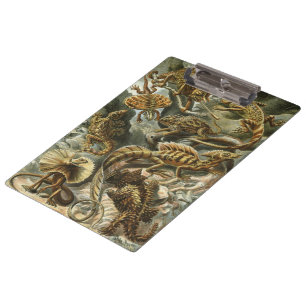 Porte-bloc Lézards par Ernst Haeckel Lacertilia Animal Vintag