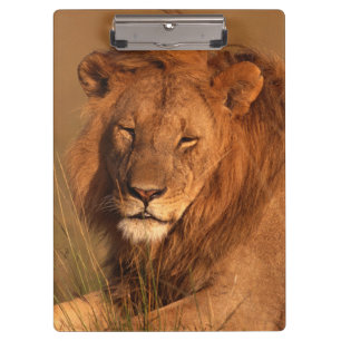 Porte-bloc Lion