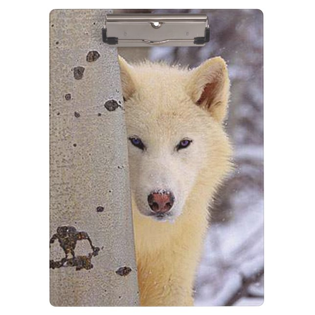 Porte-bloc Loup blanc (Devant)