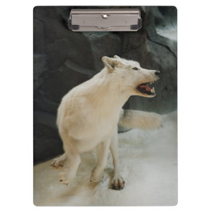 Porte-bloc Loup blanc