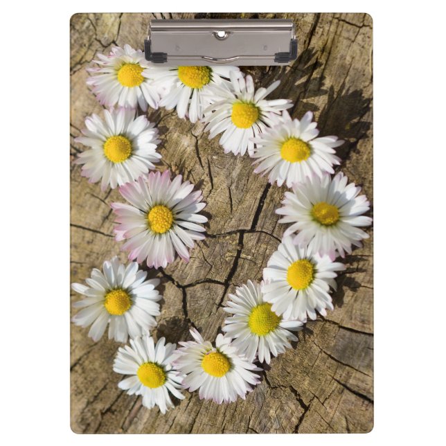 Porte-bloc Love Heart Daisies (Devant)