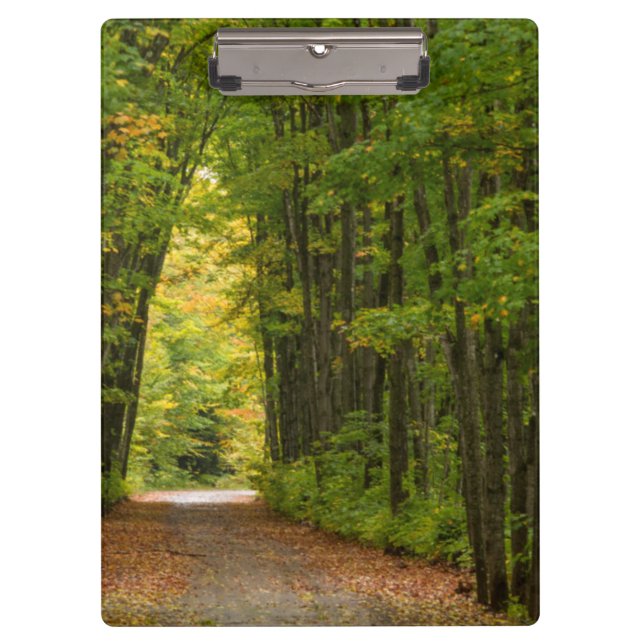 Porte-bloc Lumière Au Bout D'un Tunnel D'arbres (Devant)