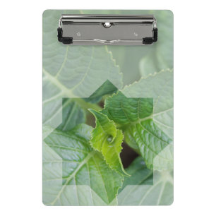 porte-bloc méditer sur la création de Dieu