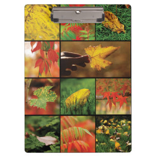 Porte-bloc Mélange de feuilles d'automne