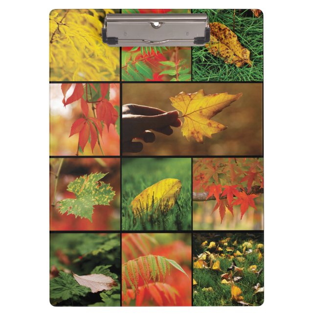 Porte-bloc Mélange de feuilles d'automne (Devant)