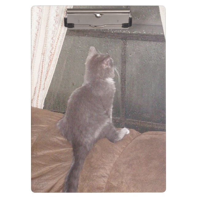 Porte-bloc Meow Cats 11 Porte - bloc (Devant)