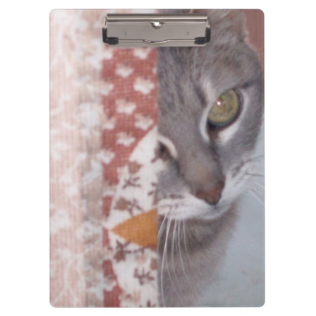 Porte-bloc Meow Cats 13 Porte - blocs (Devant)