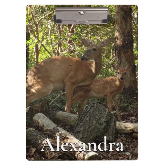 Porte-bloc Mère et bébé cerf au Parc national de Shenandoah (Devant)