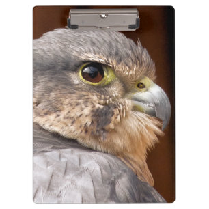 PORTE-BLOC MERLIN FALCON OISEAU DE PREY