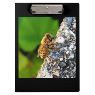 Porte-bloc Miel Bee Porte - bloc