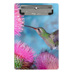 Porte-bloc Mini Porte - bloc/Colibri