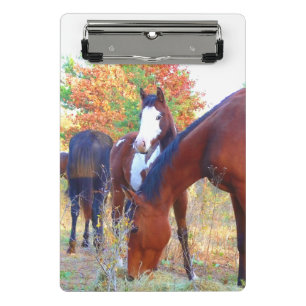 Porte-bloc Mini porte - bloc de beau cheval