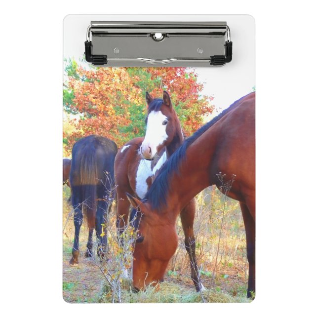 Porte-bloc Mini porte - bloc de beau cheval (Devant)