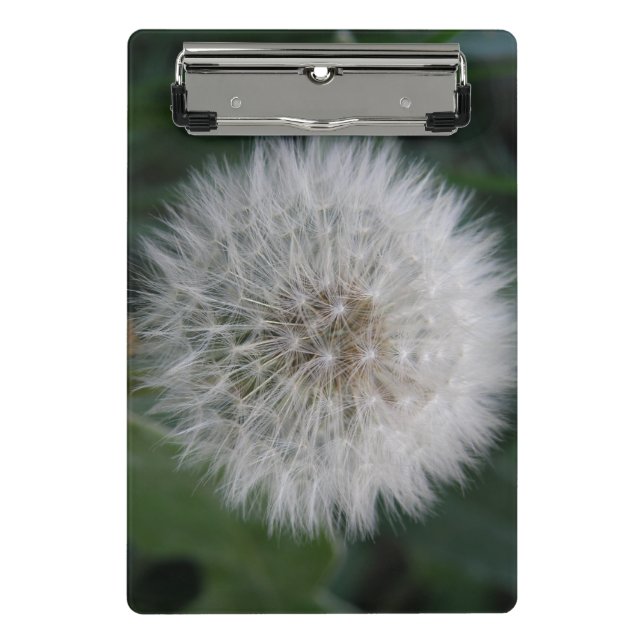 Porte-bloc Mini Porte - bloc de la fleur de Dandelion (Devant)
