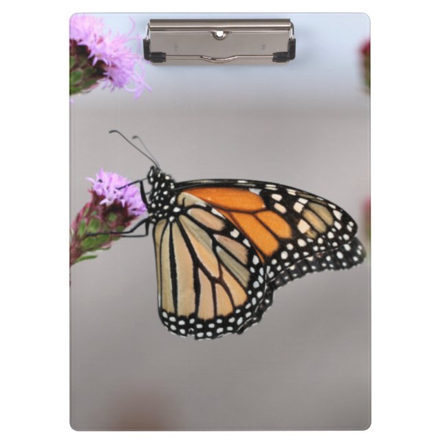 Porte-bloc Monarque (Devant)