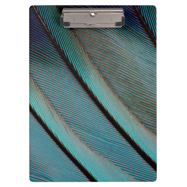 Porte-bloc Motif de plume bleue (Devant)