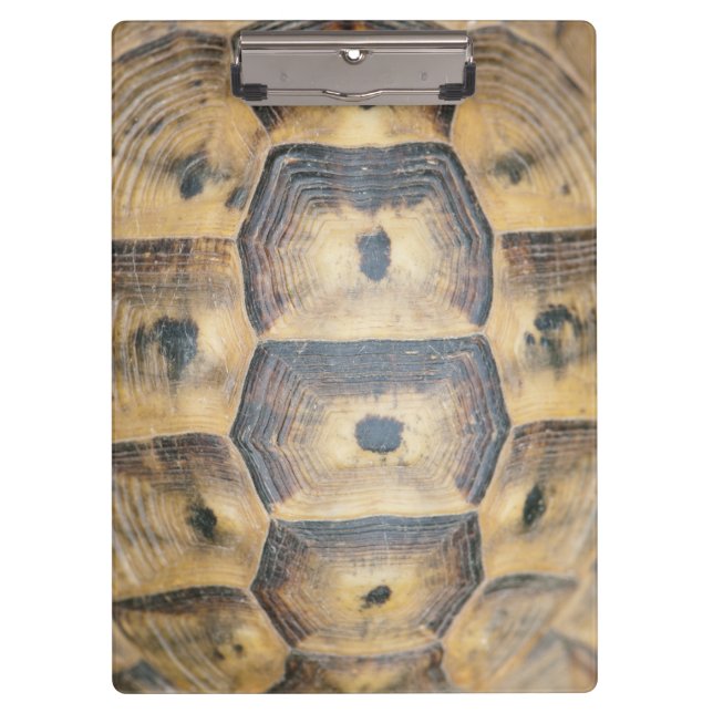 Porte-bloc Motif Tortoise Shell (Devant)