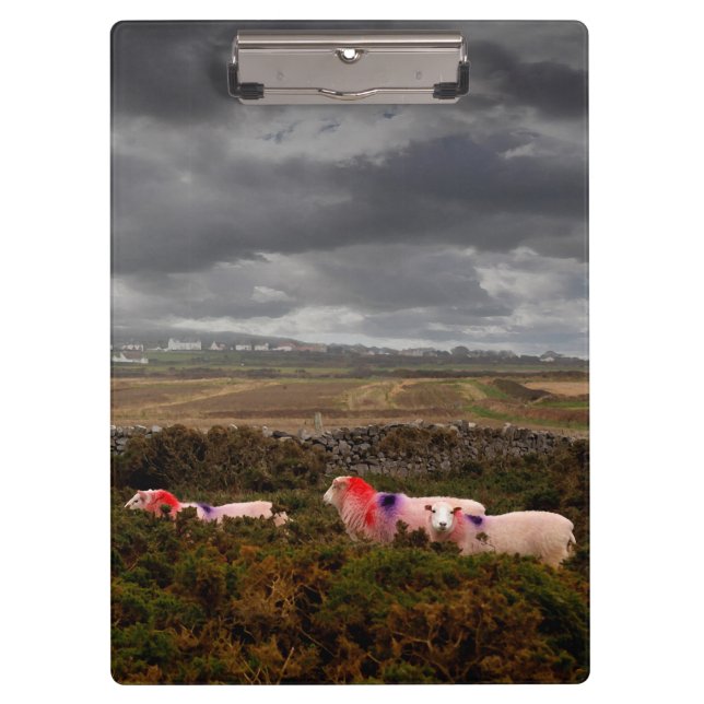 Porte-bloc Moutons colorés (Devant)