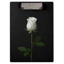 Porte-bloc noir 4 Luxe, Rose blanche pure