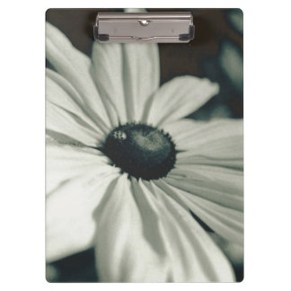 Porte-bloc Noir et blanc - Eyed Susan