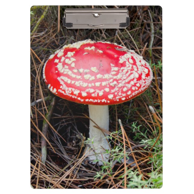 Porte-bloc Nouvelle-Zélande, Rotorua, zone volcanique du Taup (Devant)