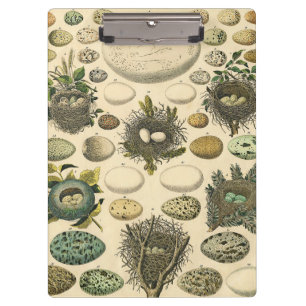 Porte-bloc OEuf vintage Nid Art Peinture OEufs