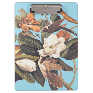 Porte-bloc Oiseau de cacao à bec noir