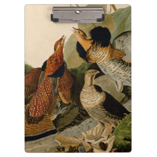 Porte-bloc Oiseau de gibier Audubon