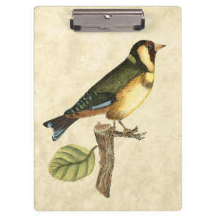 Porte-bloc Oiseau jaune et vert été perché sur une petite