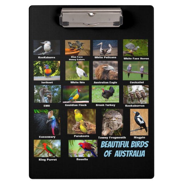 Porte-bloc Oiseaux d'Australie (Devant)