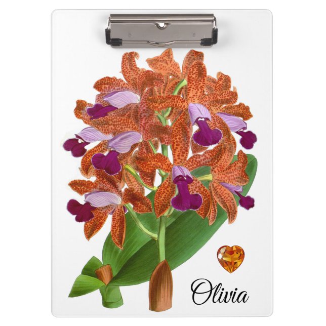 Porte-bloc Orange violet orchidée Porte - bloc (Devant)