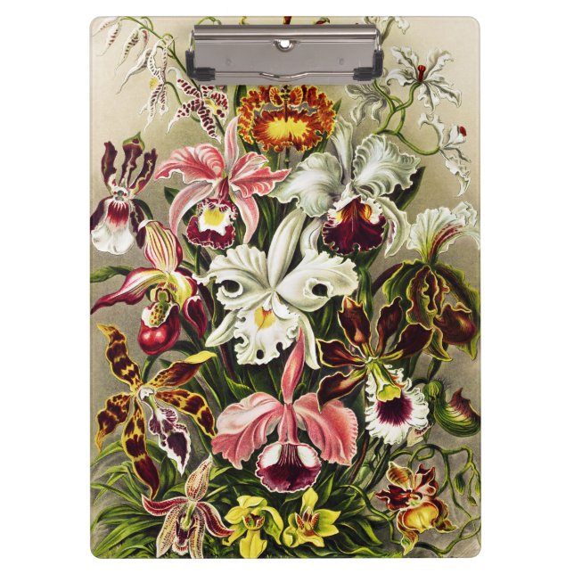 Porte-bloc Orchidées, Orchidée Denusblumen Ernst Haeckel (Devant)