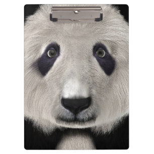 Porte-bloc Ours Panda