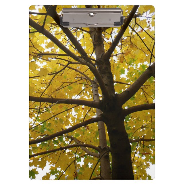 Porte-bloc Paire d'érables jaunes Nature d'automne (Devant)