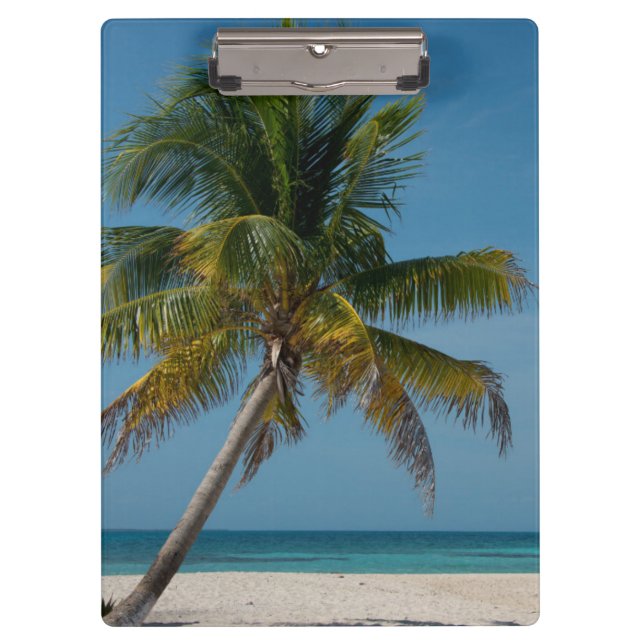 Porte-bloc Palmier et plage de sable blanc  2 (Devant)