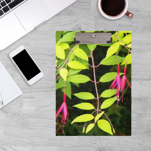 Porte-bloc Pansement rose Fuchsia Floral (In Situ)