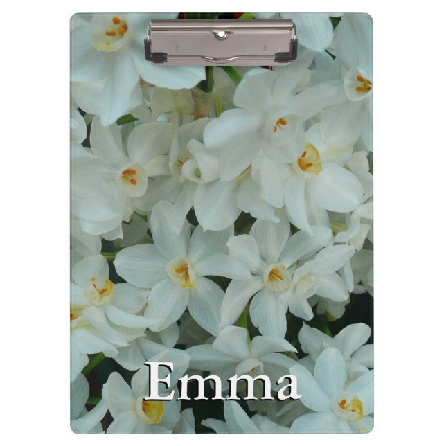 Porte-bloc Paperwhite Narcissus Fleurs blanches délicates (Devant)