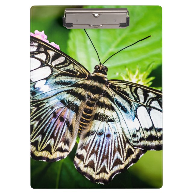 Porte-bloc Papillon Clipper Bleu (Devant)