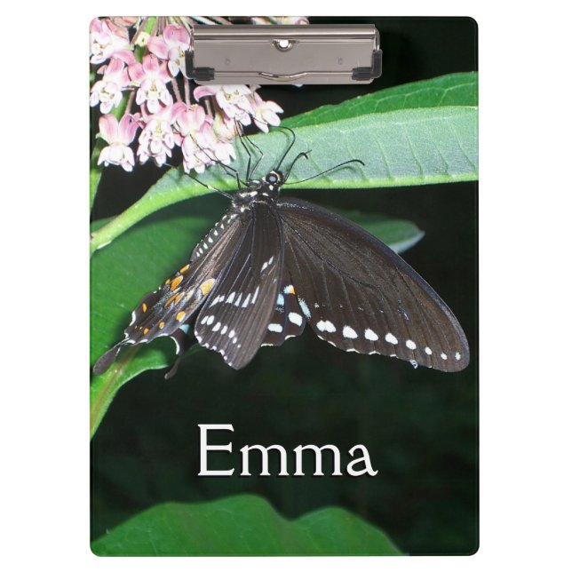 Porte-bloc Papillon de nuit noir Swallowtail à Shenandoah (Devant)