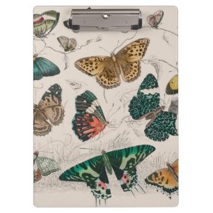 Porte-bloc Papillons Collection Antique Papillons