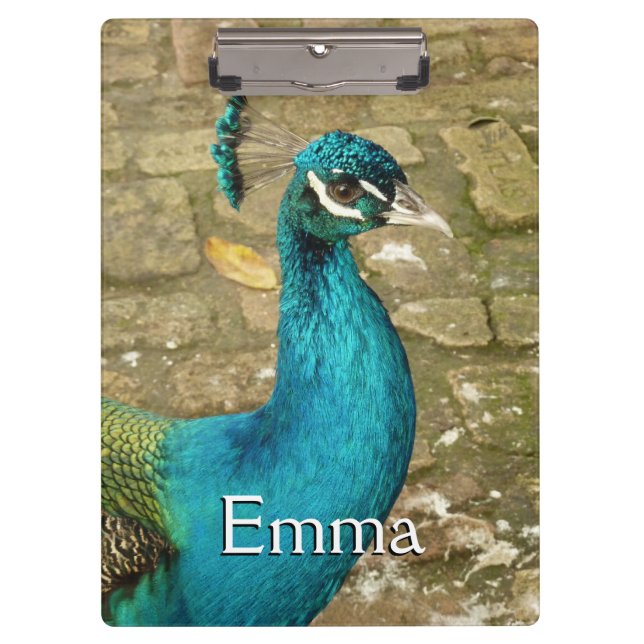 Porte-bloc Peacock Belle photographie nature (Devant)