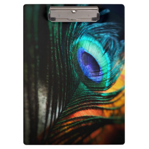 Porte-bloc Peakcock Feather up close et personnel