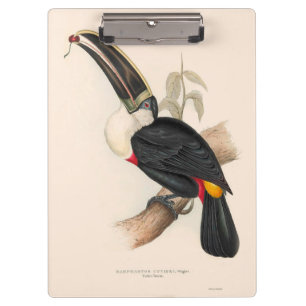 Porte-bloc Peinture animalière d'antiquités Toucans