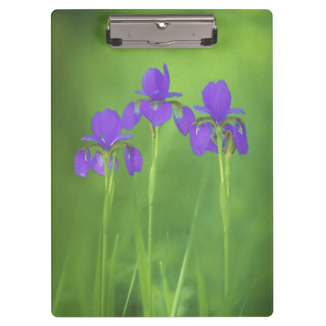 Porte-bloc Peinture Iris Violet - Art Fleur Originale (Devant)