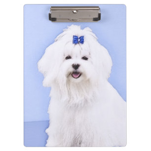 Porte-bloc Peinture maltaise - Joli art original pour chien