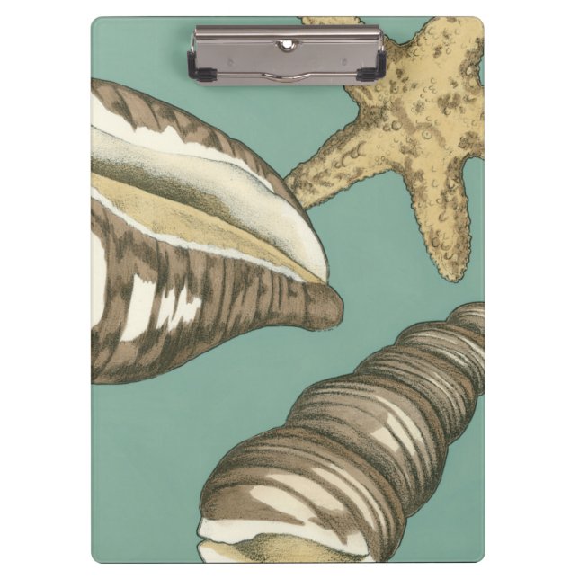 Porte-bloc Petit trio Shell Turquoise (Devant)