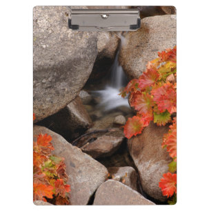 Porte-bloc Petite crique en automne, Californie